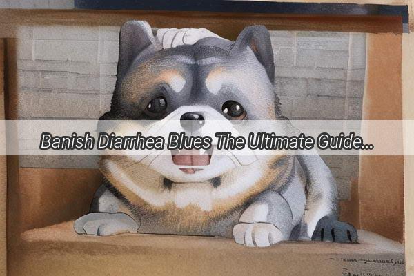 Banish Diarrhea Blues The Ultimate Guide to Medicating Your Pups Stomach Woes